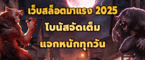 เว็บสล็อตมาแรง 2025